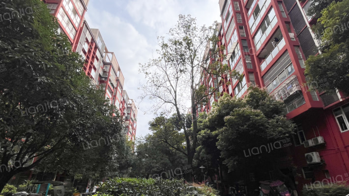 新苗新居二号地外景图