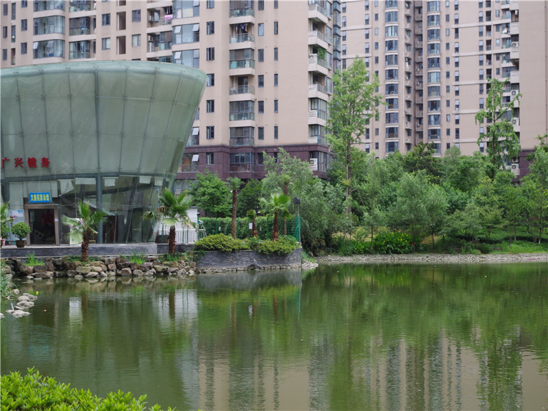 耀江文鼎苑 小区实景 50
