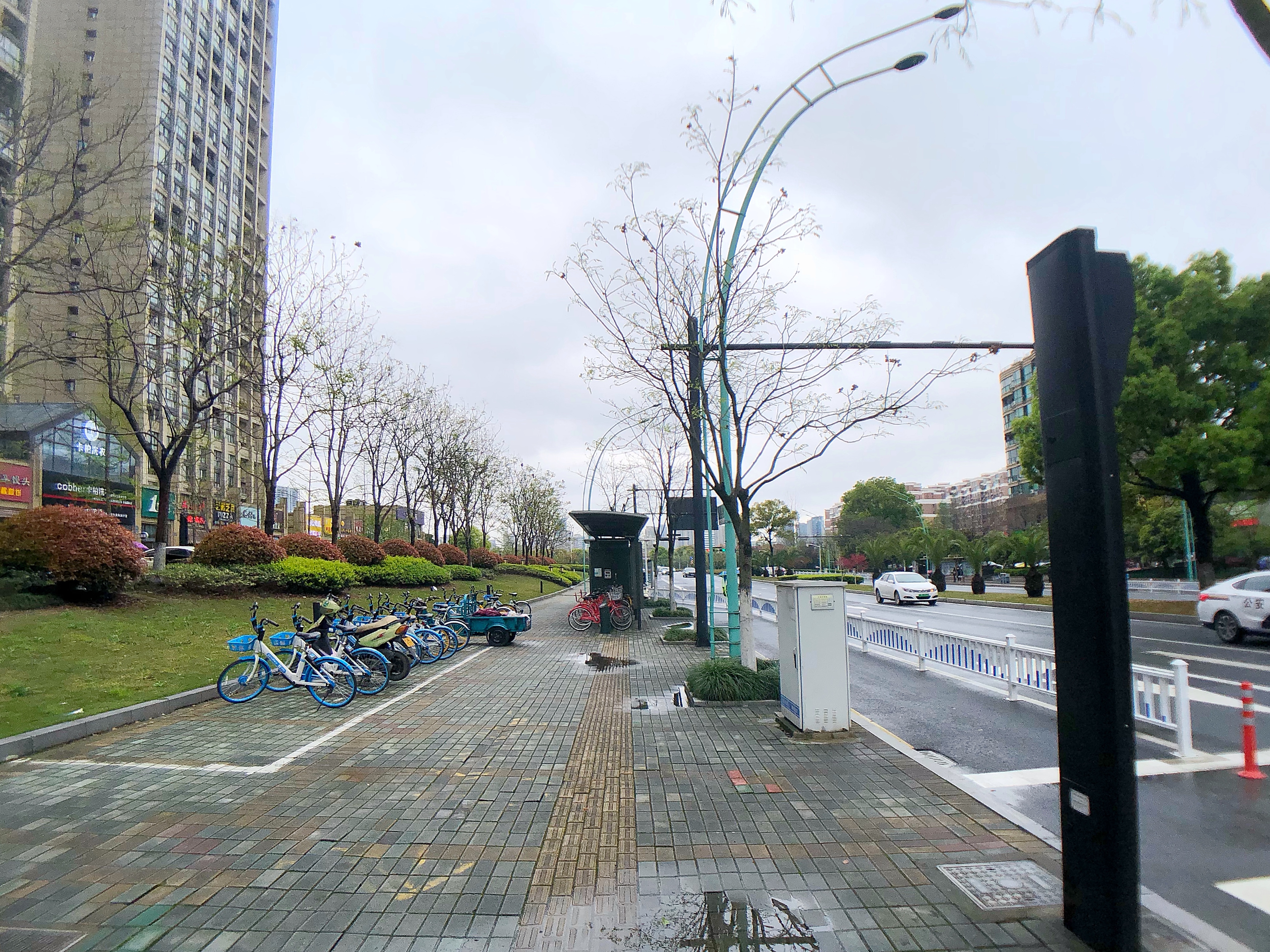 半岛国际小区实景 10