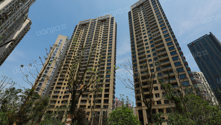 国际明佳城外景图