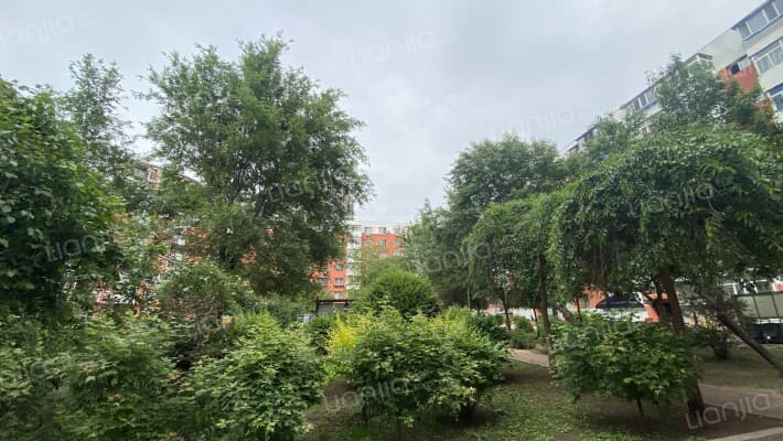 建和小院外景图