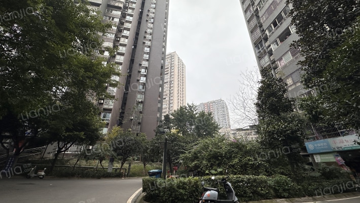 星韵满庭外景图