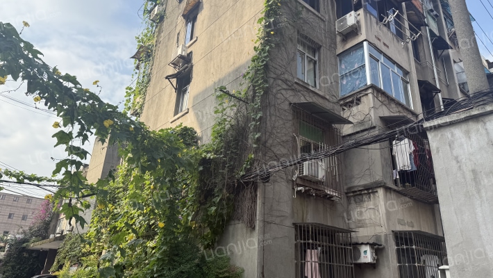 倪家桥5号外景图