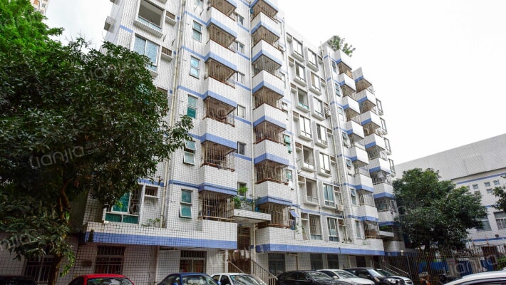 滨河中学宿舍外景图