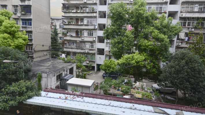 永清小路11号外景图