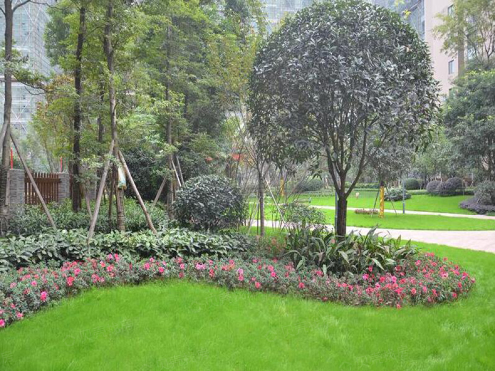 实地海棠名著相册