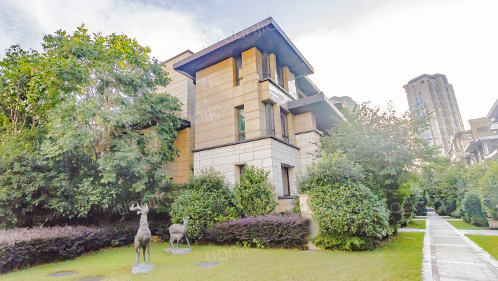 印象外滩外景图