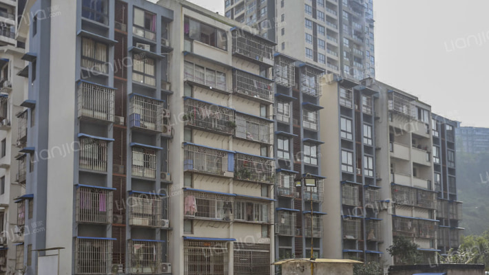 桃西雅图外景图