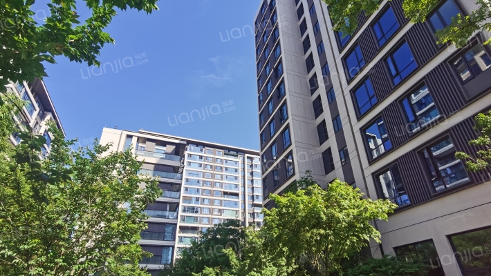 人居九林语望云阁外景图