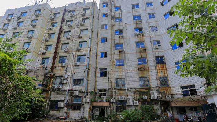 高新一路外景图