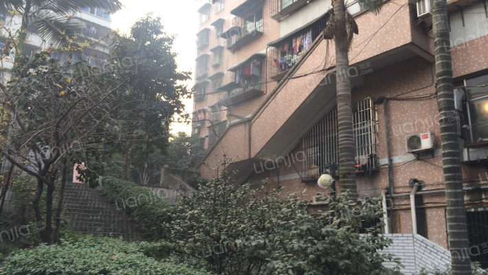 三六小区外景图