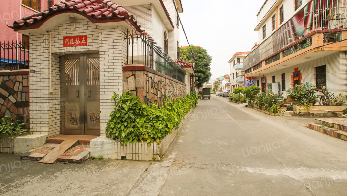 桥头村自建房外景图