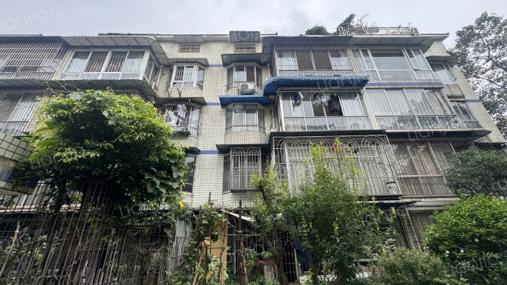 正西街216号外景图