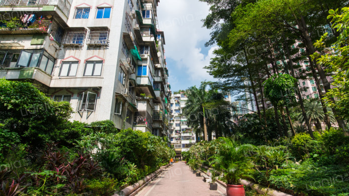 周门小区周门街外景图