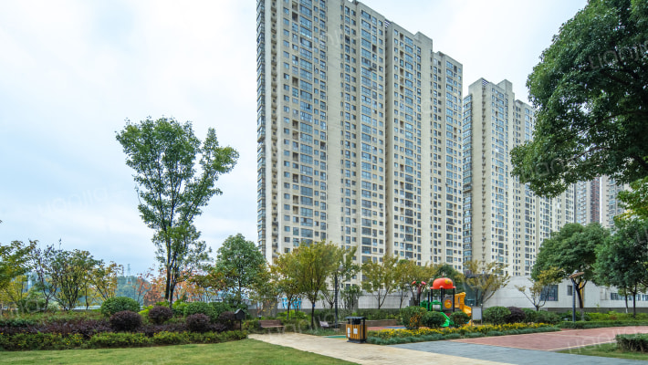 国际城D组团外景图