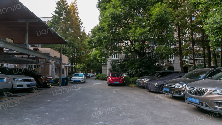 大闻丽都苑外景图