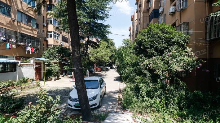 新华四村外景图