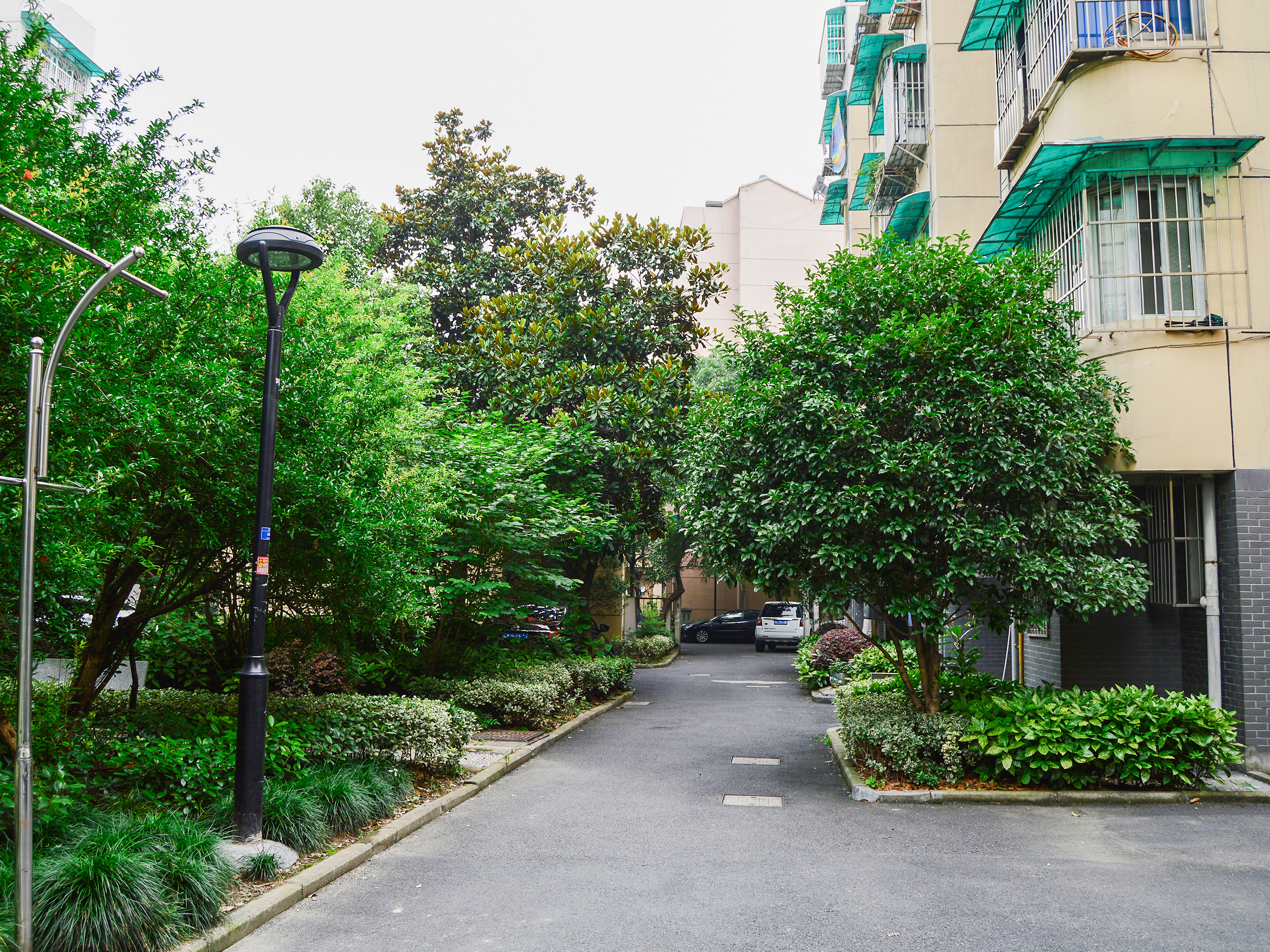钱江六苑小区实景 6
