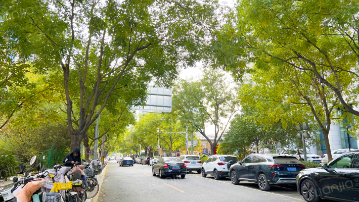 百合湾西区外景图