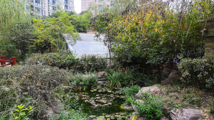 龙腾盛世外景图