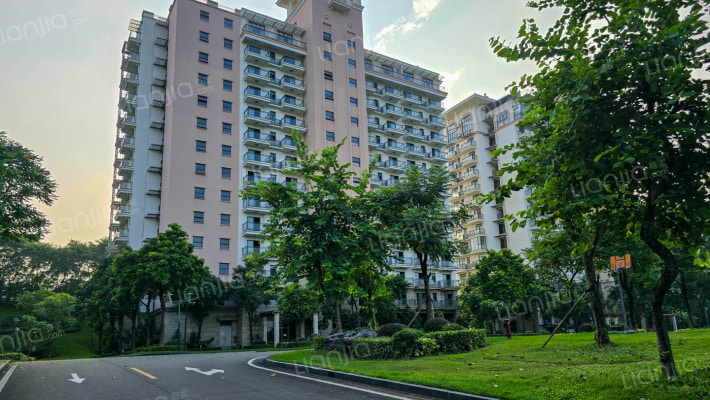 御林山六区外景图