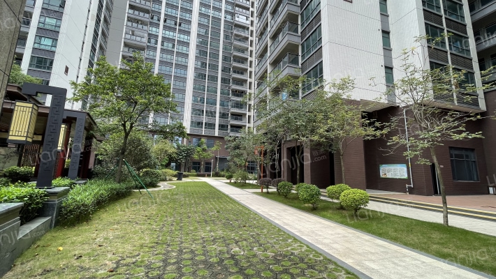 罗浮印象外景图