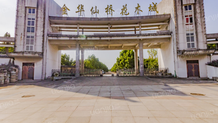 金华仙桥花木城