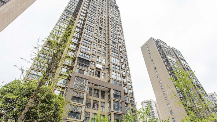 南枫时光外景图