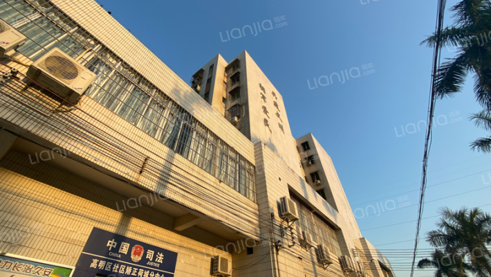 泰华路313号外景图