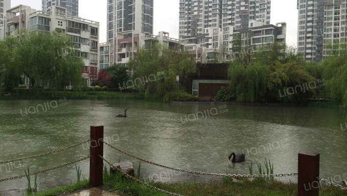 天鹅湖花园A区外景图