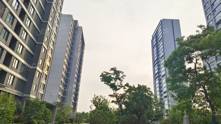 大家东望雅苑西区外景图