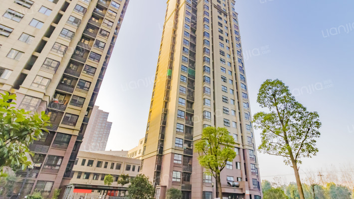 金色地带(肥东)外景图