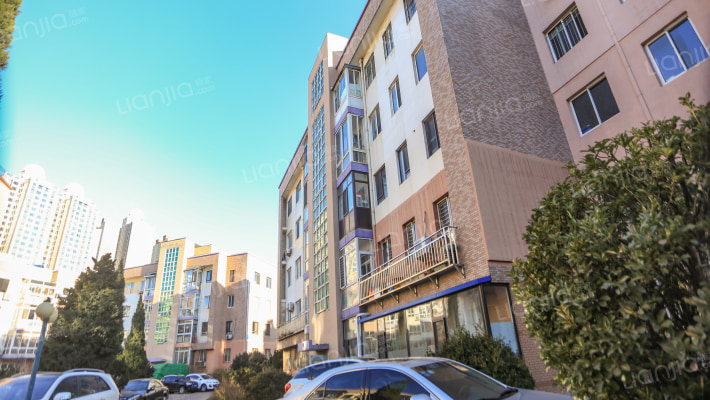 星河璞园外景图