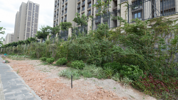 洋唐居住区外景图