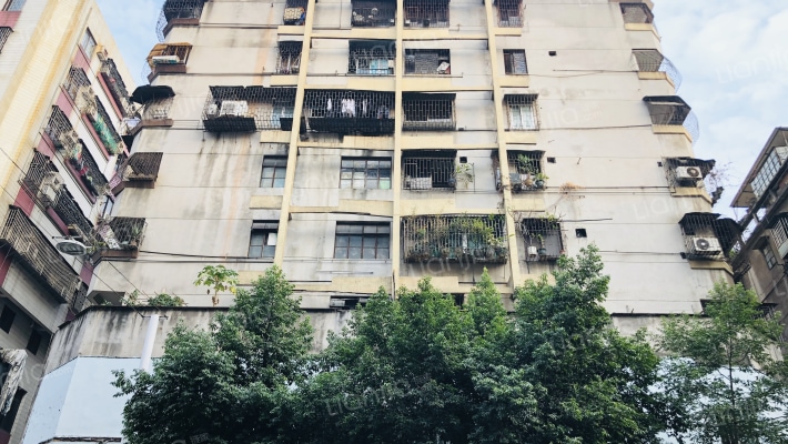 汾江中路外景图