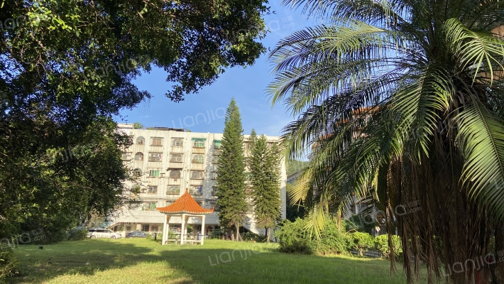 白云山制药厂前山宿舍外景图