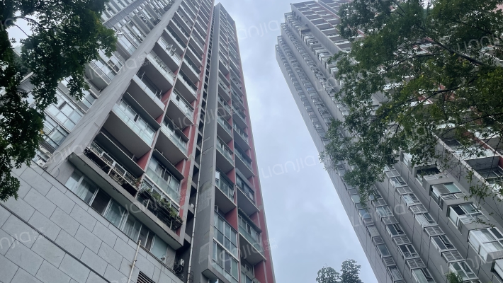 红墙国际外景图