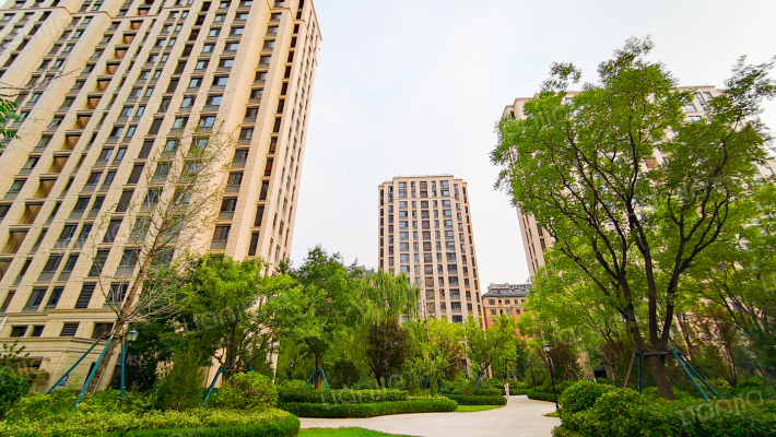 百合花园外景图