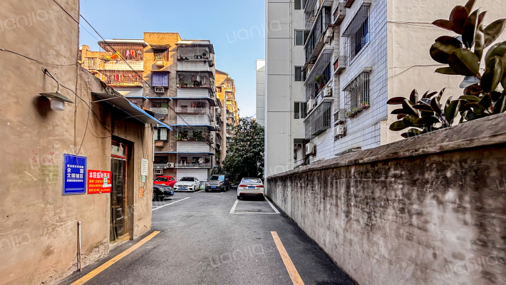 老国税局家属院外景图