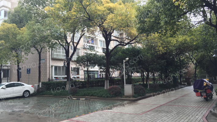 金桥一景外景图