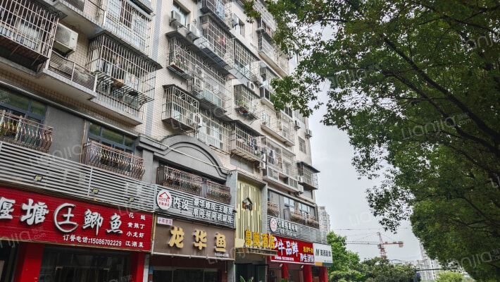 百安大道外景图