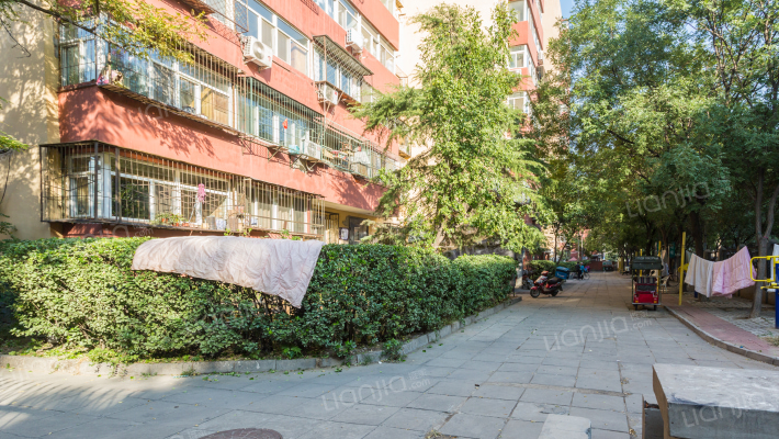 农光南路外景图