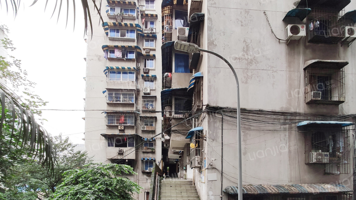 锦龙支路外景图