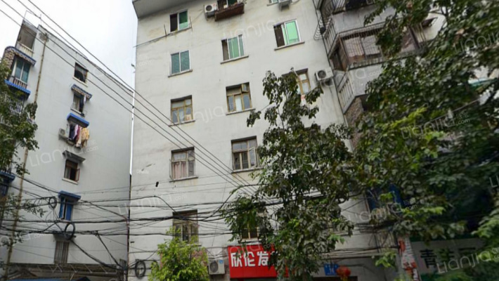 拐枣树街26号外景图