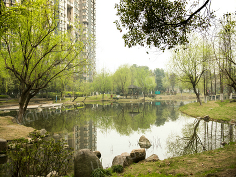现代名苑小区实景 9