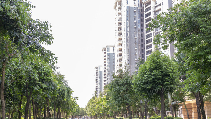 东湖洲花园A区外景图