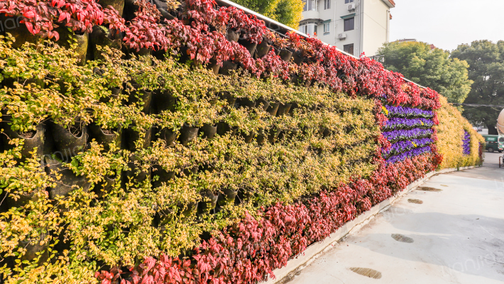 共康前进公寓外景图