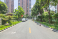 柏树花园户型图实景图