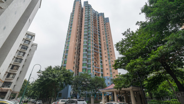 丽江花园星海洲外景图