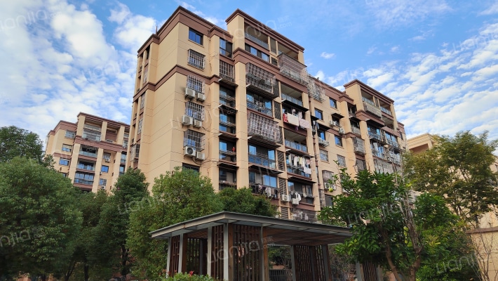 滨湖丽景花园D区外景图